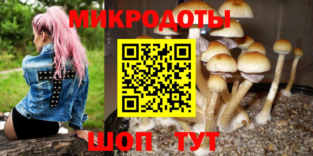 Жуковский  Галлюциногенные грибы GOLDEN TEACHER  Галлюциногенные грибы ЛСД  Вход с VPN 